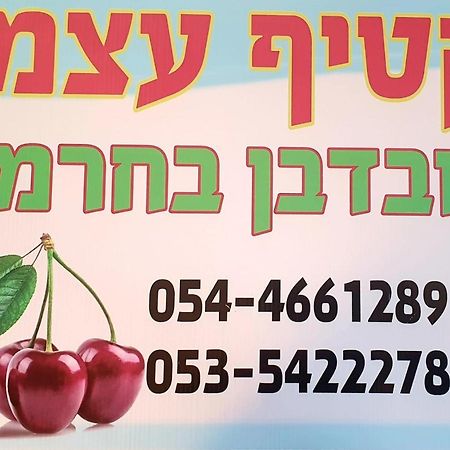 צימרים בגולן דובדבן בחרמון Mas'ada Extérieur photo