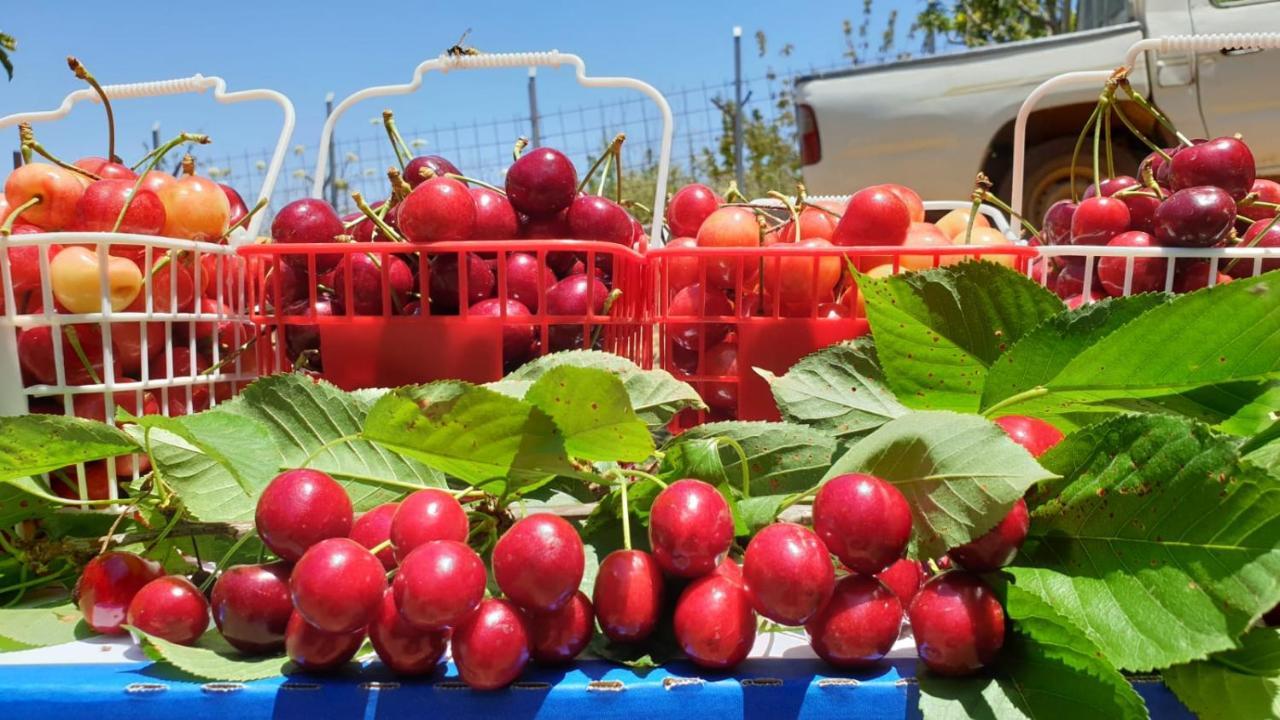 צימרים בגולן דובדבן בחרמון Mas'ada Extérieur photo