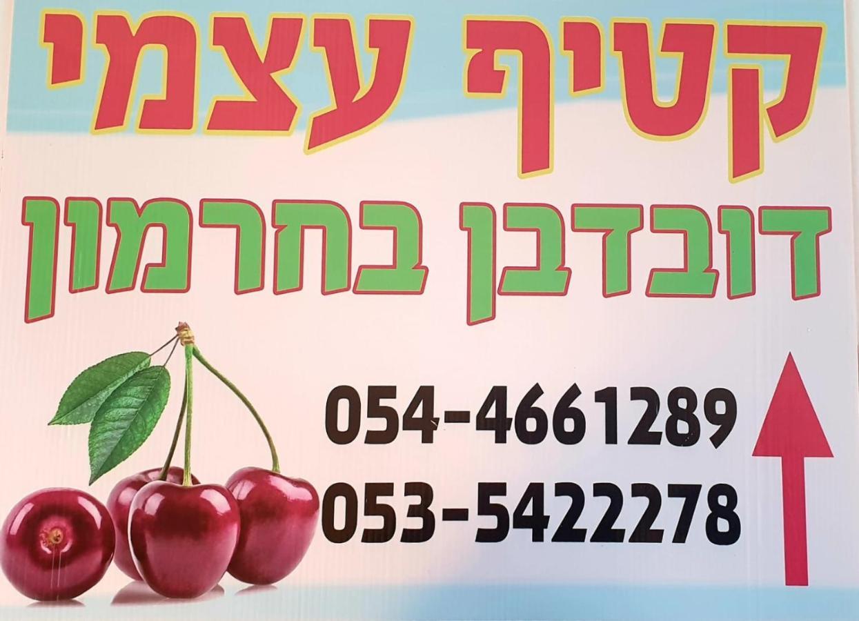 צימרים בגולן דובדבן בחרמון Mas'ada Extérieur photo